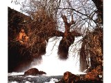 Waterfall on the Baniyas, Nahal Hermon, one of the three main tributaries which join to form the Jordan River.